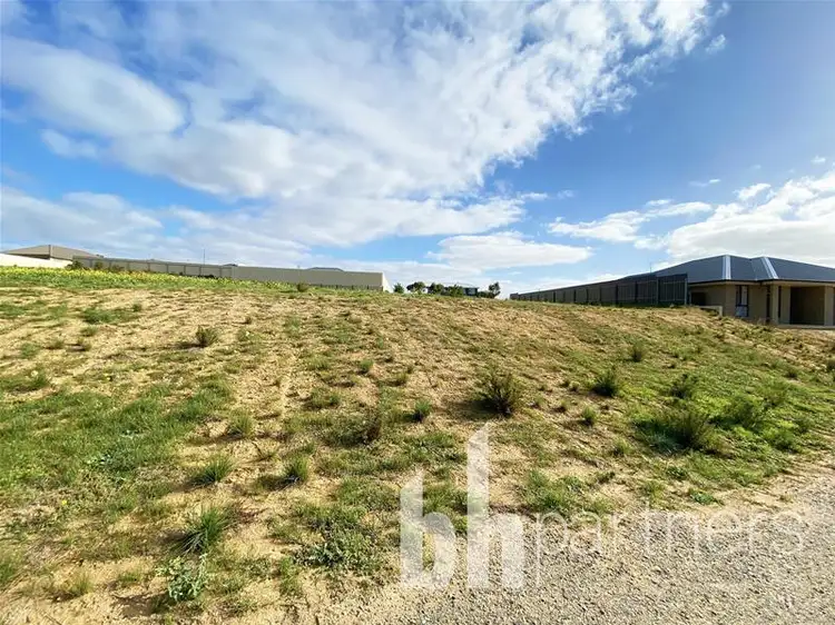 11 Spoonbill Court, Mannum SA 5238