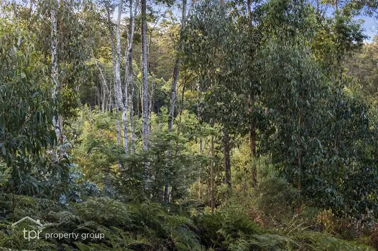 Third view of Homely land listing, 1 Behrens Road, Dover TAS 7117