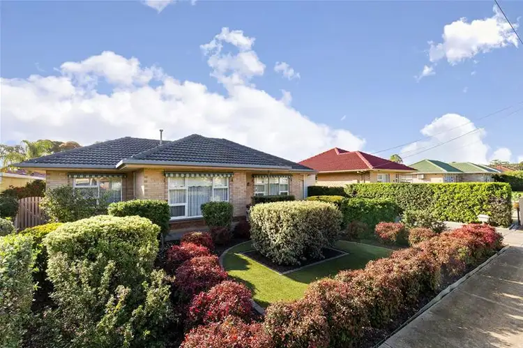 Main view of Homely house listing, 6 Clyde Street, Marion SA 5043