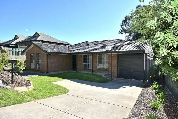 8 Hockley Terrace, Athelstone SA 5076