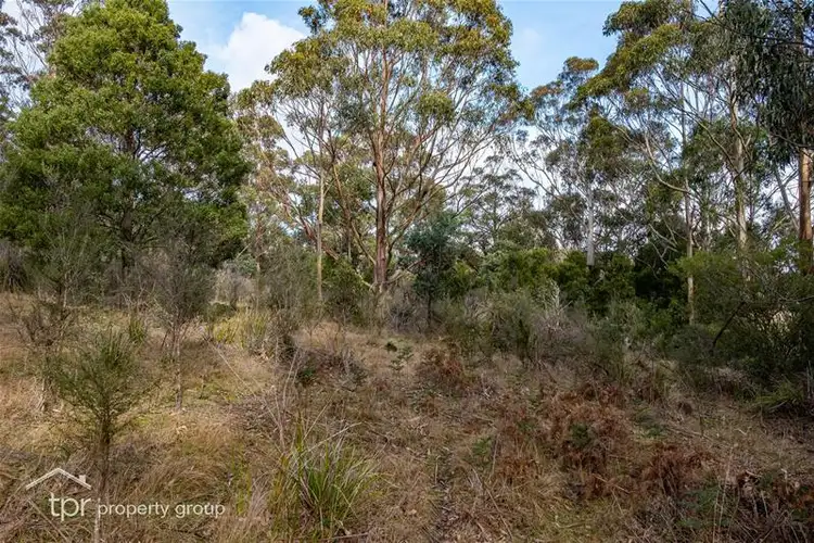 Sixth view of Homely land listing, Lot 1 off Sepia Road, Mountain River TAS 7109