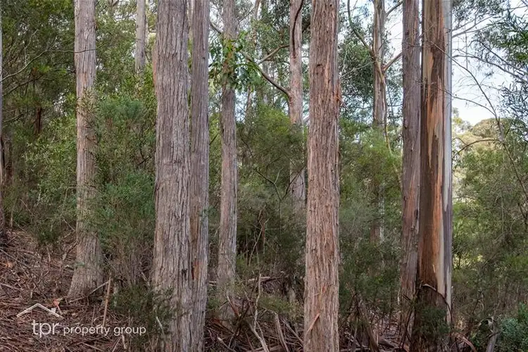 Seventh view of Homely land listing, Lot 1 off Sepia Road, Mountain River TAS 7109