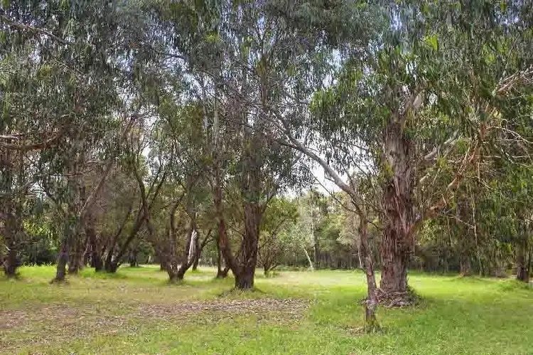 Third view of Homely land listing, 232 Merino Way, Margaret River WA 6285