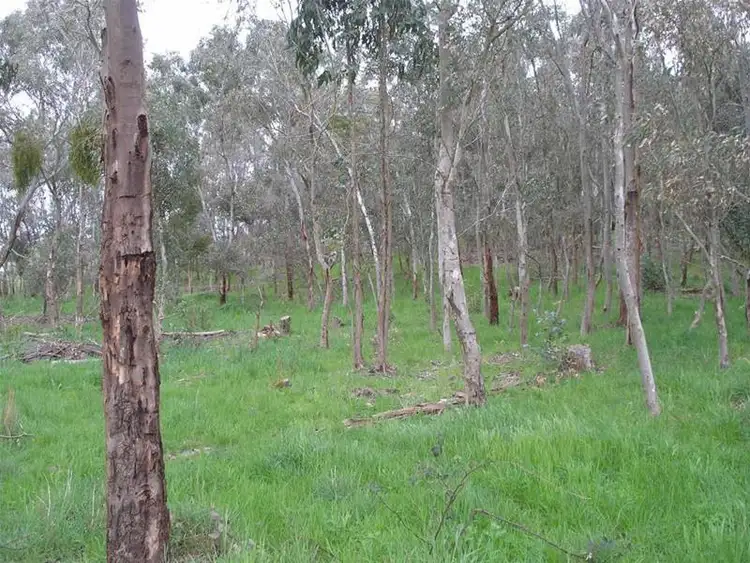 Sixth view of Homely land listing, 180 Neudorf Road, Lobethal SA 5241