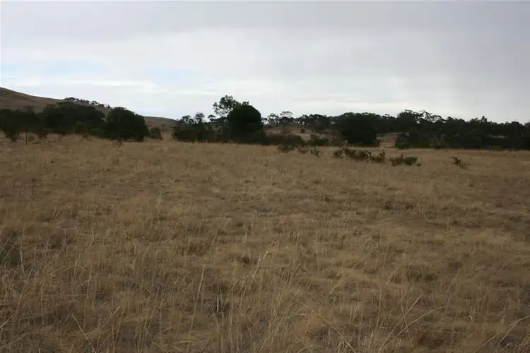 Fourth view of Homely rural property listing, 142 Rifle Butts Road, Landsborough VIC 3384