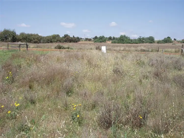 Sixth view of Homely land listing, 29 Martha Street, Caloote SA 5254
