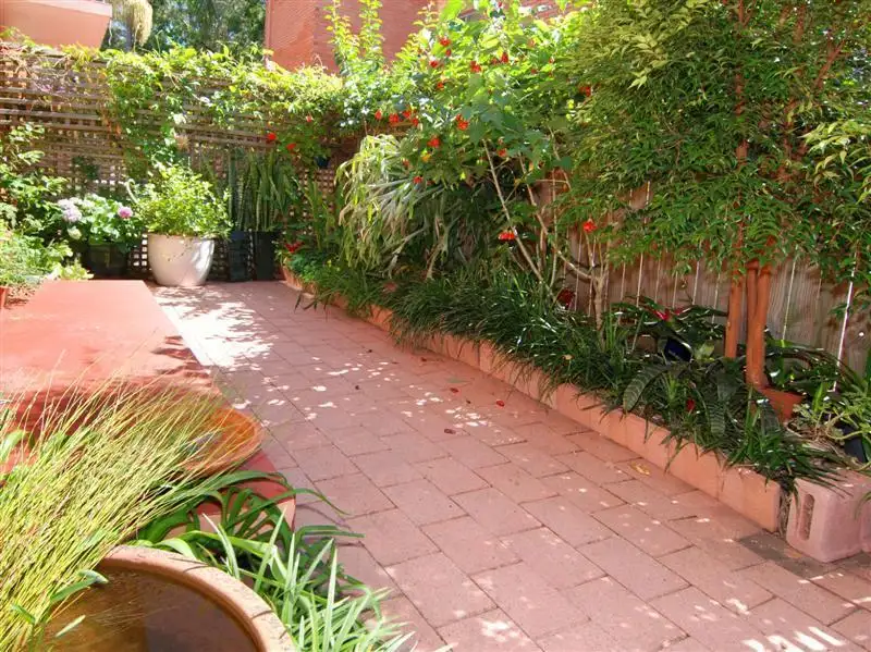 Main view of Homely unit listing, 12/9 Grafton Crescent, Dee Why NSW 2099