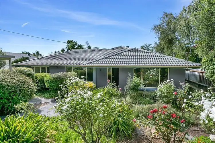 8 Pamela Road, Torrens Park SA 5062