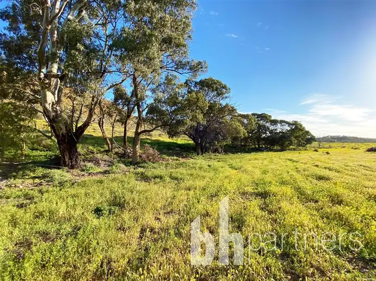 59 Long Gully Road, Mannum SA 5238