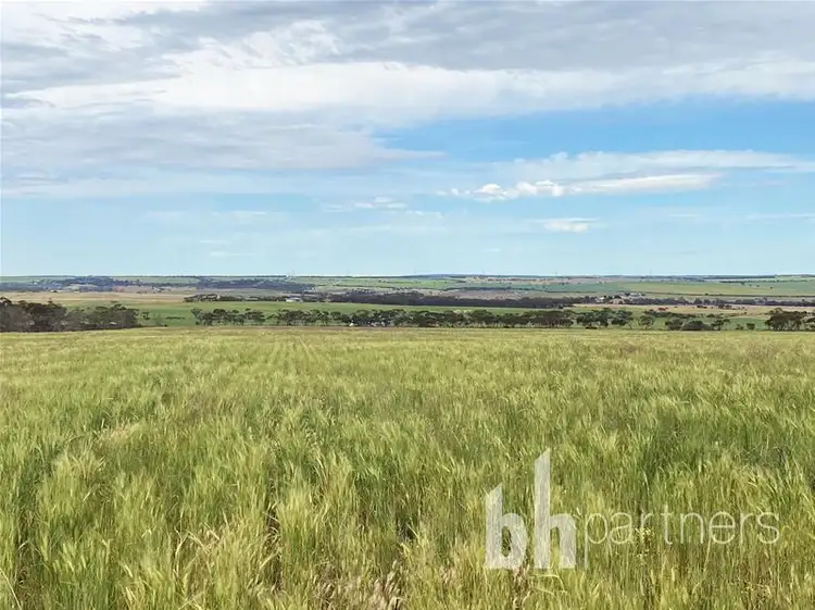 Lot 339 Marks Road, Mannum SA 5238