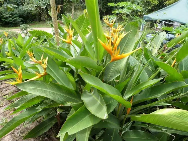 Sixth view of Homely house listing, 19 Mission Circle, Wongaling Beach QLD 4852