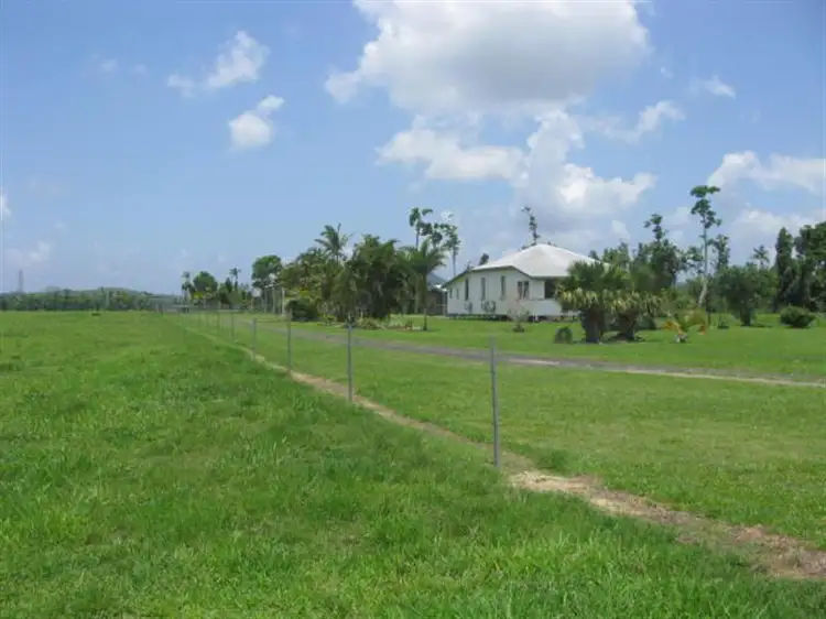 Second view of Homely house listing, 203 Jones Road, El Arish QLD 4855