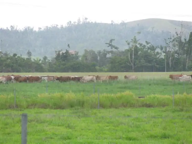 Sixth view of Homely house listing, 203 Jones Road, El Arish QLD 4855