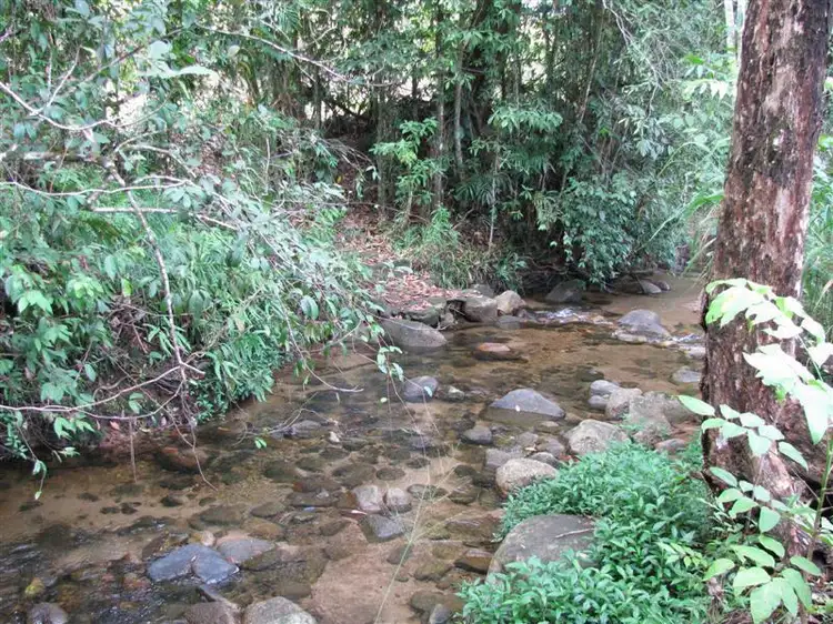 Third view of Homely house listing, 152 Bulgun Road, Bulgun QLD 4854