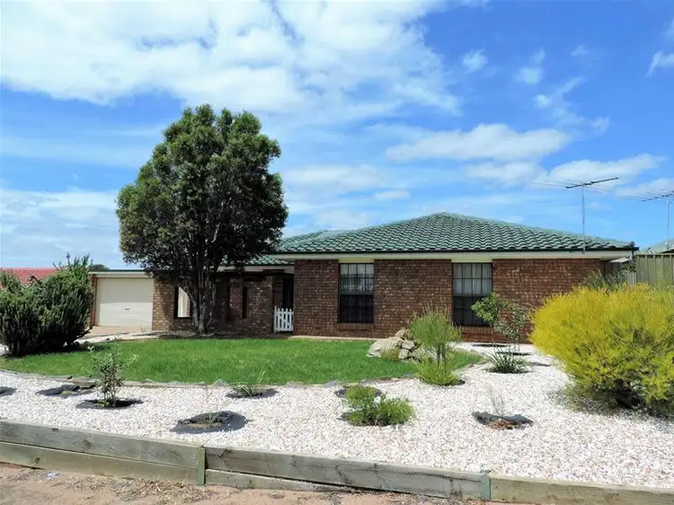 Main view of Homely house listing, 3 Williams Grove, Murray Bridge SA 5253