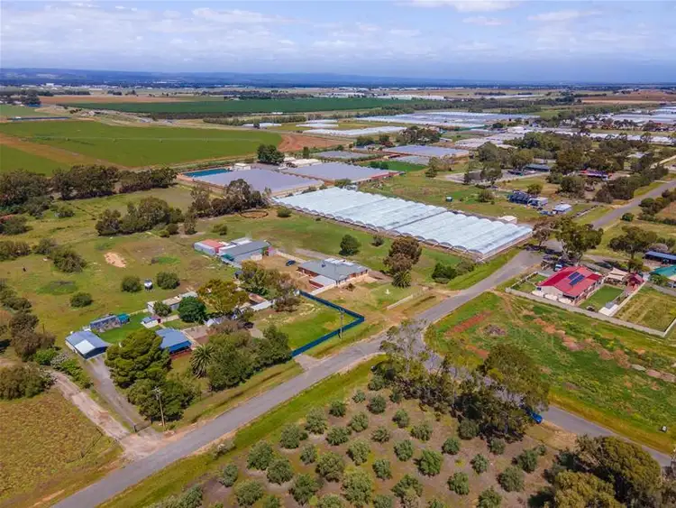 Second view of Homely house listing, 34 Clark Road, Virginia SA 5120