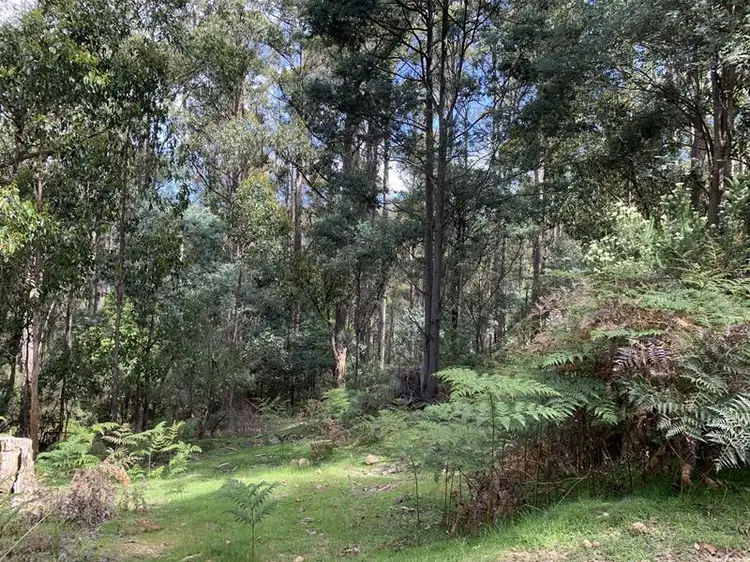 Fifth view of Homely land listing, Lot 1 Bygraves Road, Crabtree TAS 7109