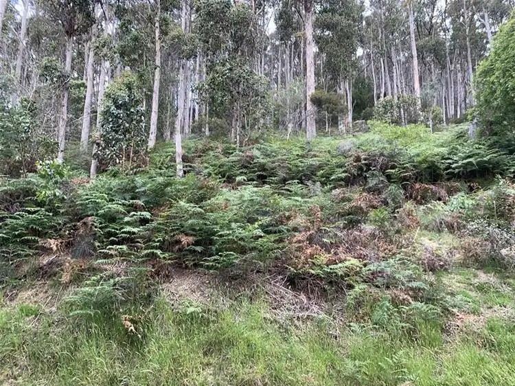 Seventh view of Homely land listing, Lot 1 Bygraves Road, Crabtree TAS 7109