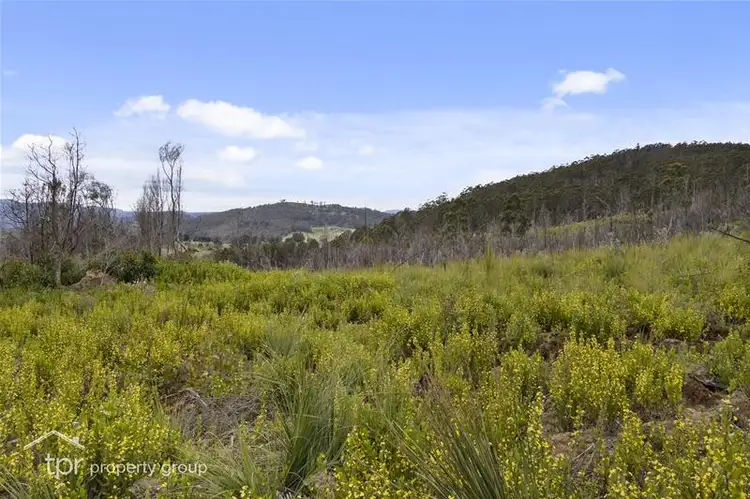 Main view of Homely land listing, 2 Lots Off Kermandie River Road, Geeveston TAS 7116