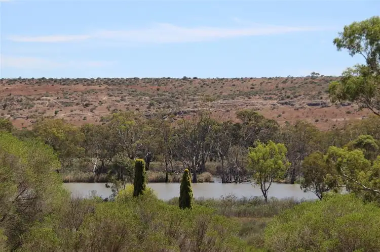 46 Tom Groggin Drive, Younghusband SA 5238