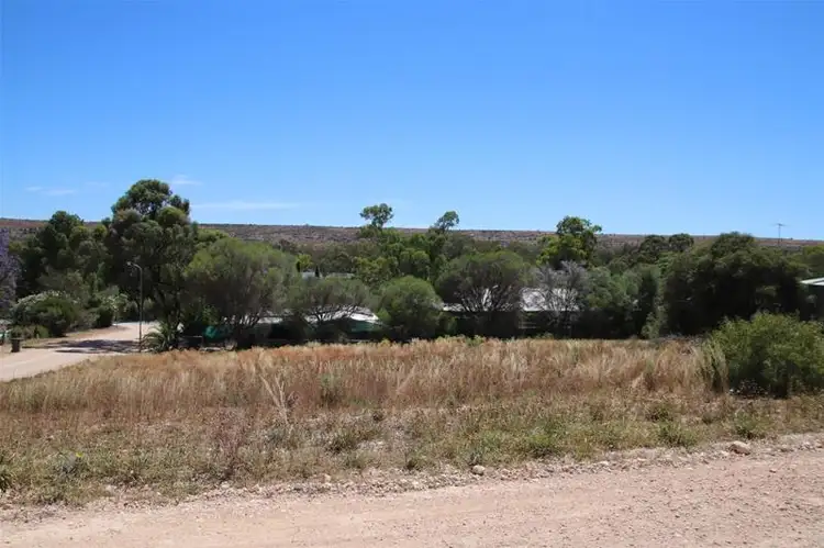 Third view of Homely land listing, 46 Tom Groggin Drive, Younghusband SA 5238