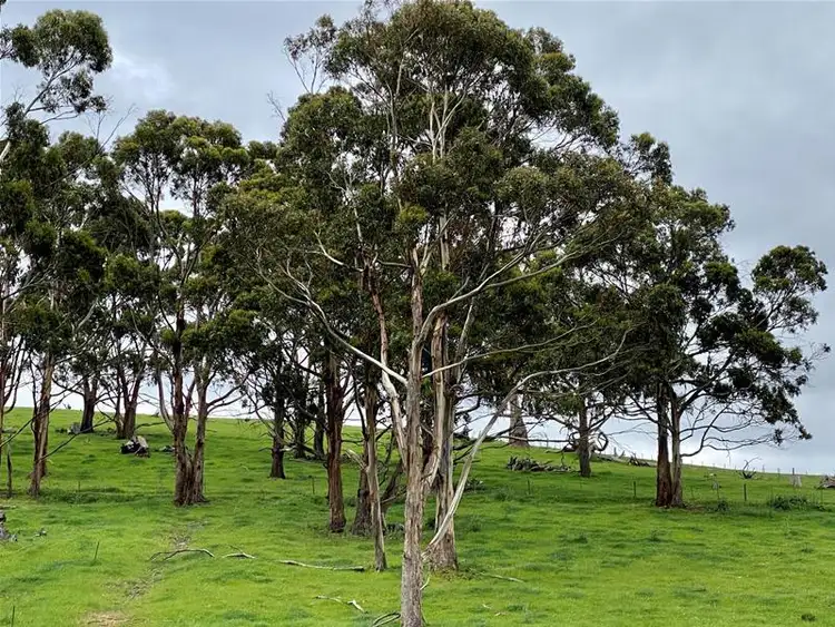 Third view of Homely land listing, 67 Dunn Drive, Surveyors Bay TAS 7116