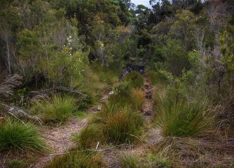 Seventh view of Homely land listing, 1 Reid Street, Strahan TAS 7468