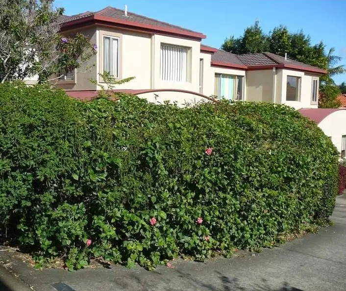 Second view of Homely townhouse listing, 'Vista Bella' 96 Pohlman Street, Southport QLD 4215