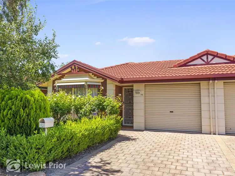 16 Allison Street, Ascot Park SA 5043