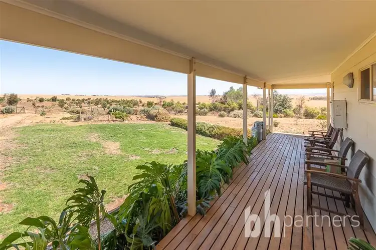 Third view of Homely rural property listing, 101 Magpie Crescent, Mannum SA 5238