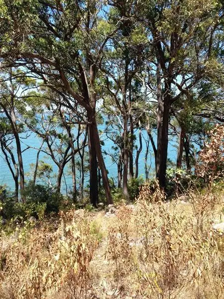 Main view of Homely land listing, 21 The Esplanade, North Arm Cove NSW 2324
