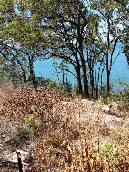 Fifth view of Homely land listing, 21 The Esplanade, North Arm Cove NSW 2324