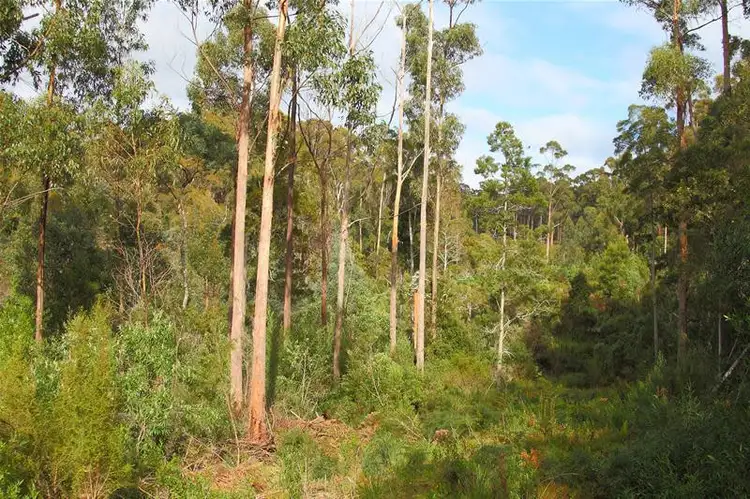 Fifth view of Homely land listing, 2 Lady Bay Road, Southport TAS 7109