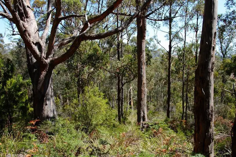 Main view of Homely land listing, 1 North Huon Road, Judbury TAS 7109