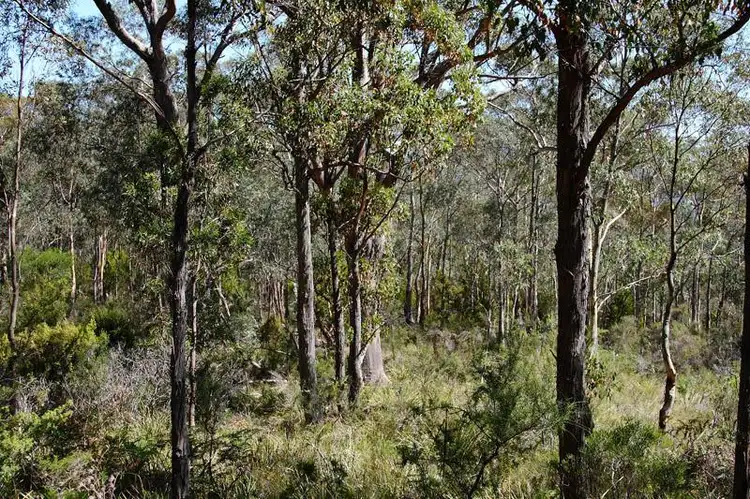 Third view of Homely land listing, 1 North Huon Road, Judbury TAS 7109