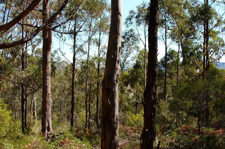 Fourth view of Homely land listing, 1 North Huon Road, Judbury TAS 7109