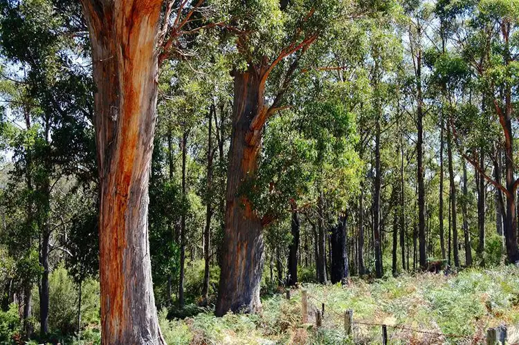 Fifth view of Homely land listing, 1 North Huon Road, Judbury TAS 7109