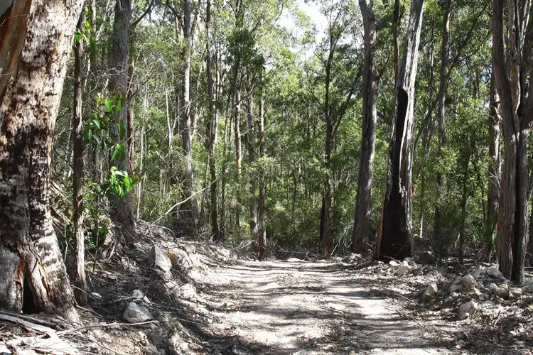 Fifth view of Homely land listing, LOT 2 Off Ayres Road, Ranelagh TAS 7109