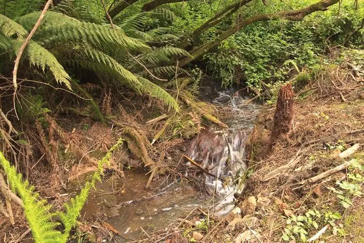 Second view of Homely land listing, RA New Road, Franklin TAS 7113