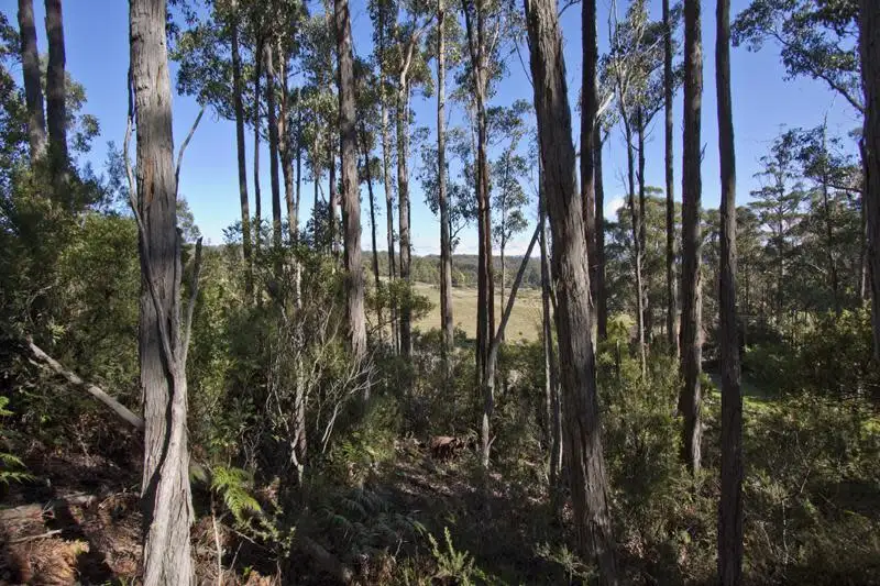 Main view of Homely land listing, Cnr Kellys Road & Channel Highway, Cradoc TAS 7109