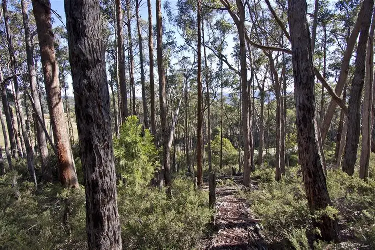 Fifth view of Homely land listing, Cnr Kellys Road & Channel Highway, Cradoc TAS 7109