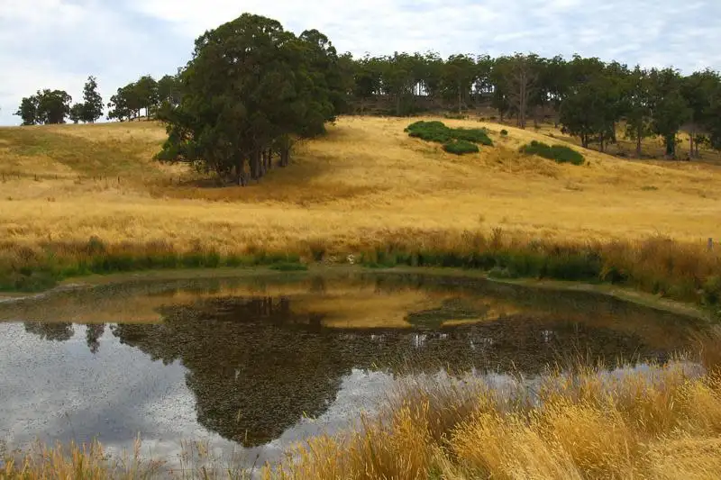 Main view of Homely land listing, 203 Cross Road, Lucaston TAS 7109