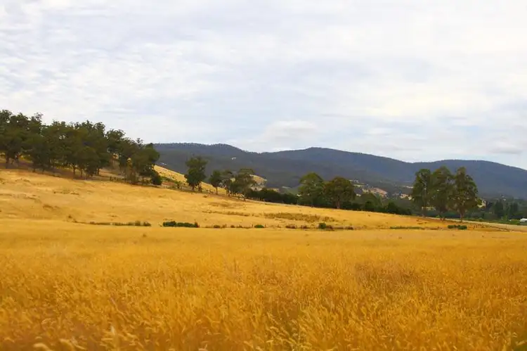 Second view of Homely land listing, 203 Cross Road, Lucaston TAS 7109