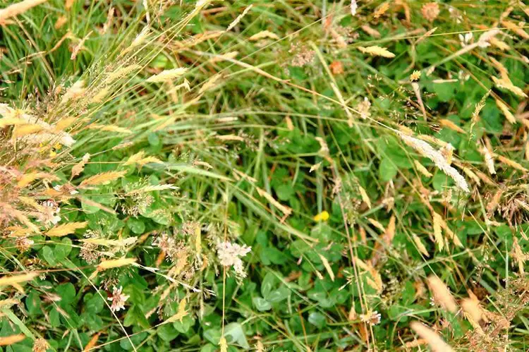 Fourth view of Homely land listing, 203 Cross Road, Lucaston TAS 7109