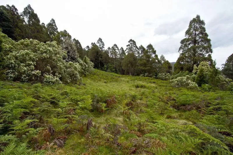 Main view of Homely land listing, 1 Nicholls Rivulet Road, Nicholls Rivulet TAS 7112