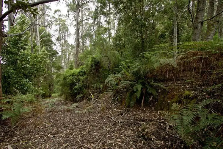 Third view of Homely land listing, 1 Nicholls Rivulet Road, Nicholls Rivulet TAS 7112