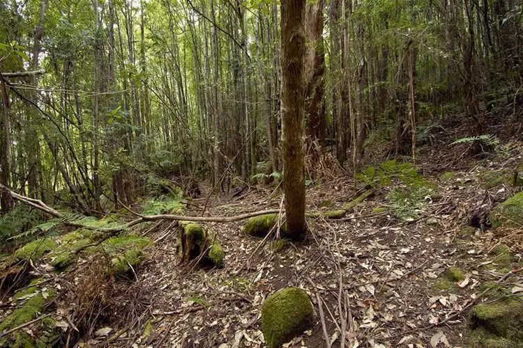 Fifth view of Homely land listing, 1 Nicholls Rivulet Road, Nicholls Rivulet TAS 7112