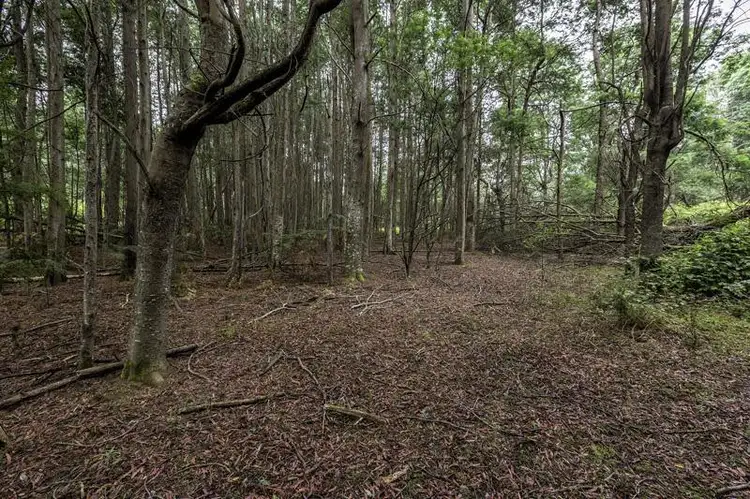 Main view of Homely land listing, 3 Batchelors Road, Nicholls Rivulet TAS 7112