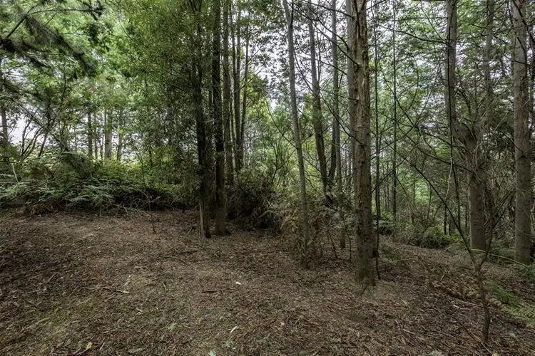 Fourth view of Homely land listing, 3 Batchelors Road, Nicholls Rivulet TAS 7112