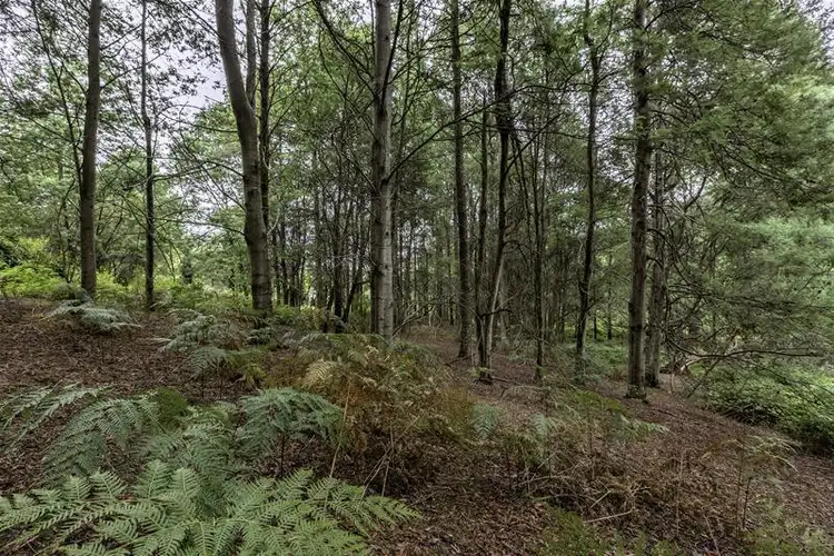 Fifth view of Homely land listing, 3 Batchelors Road, Nicholls Rivulet TAS 7112